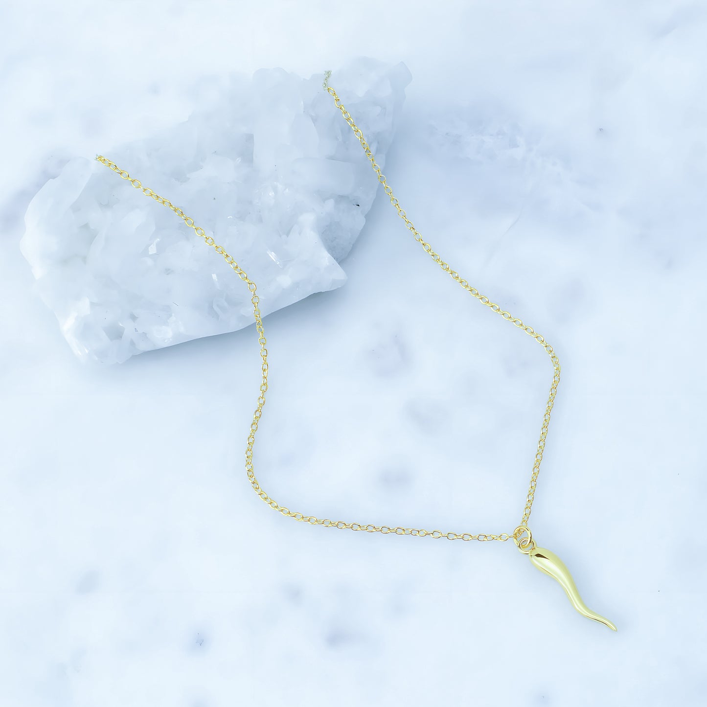 Horn Necklace