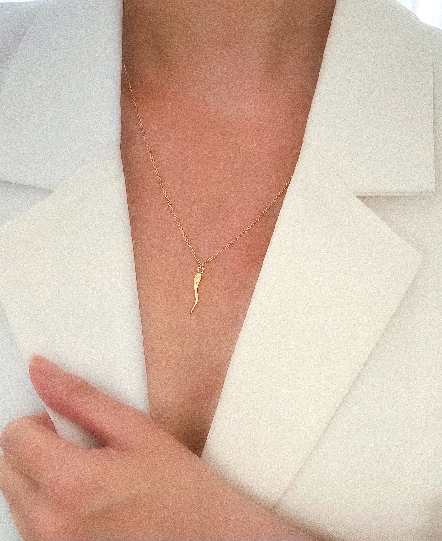 Horn Necklace