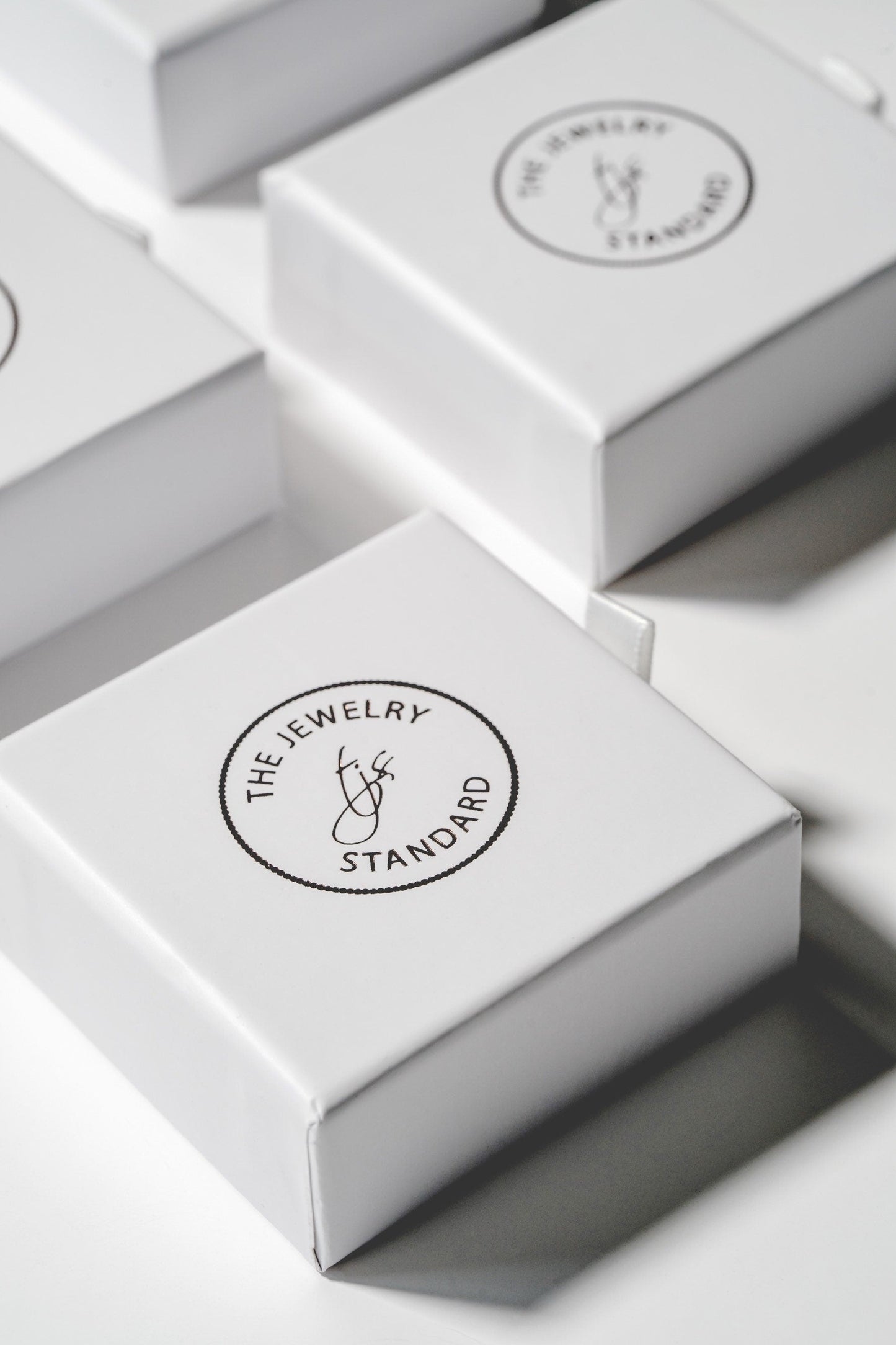 Compass Shell Necklace