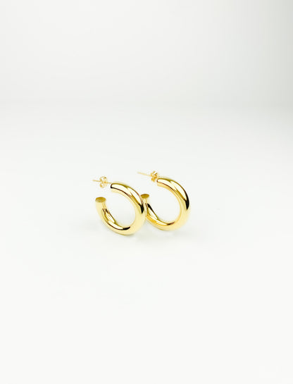 Gold hoop Earrings